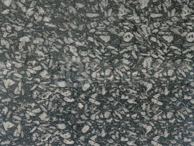 Quyang Black-White Grain