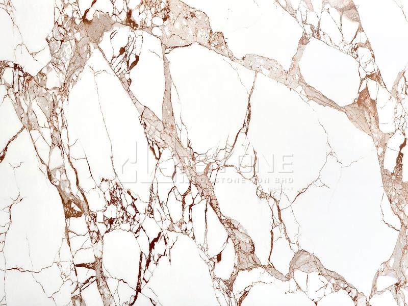 CS1066 BRECCIA VIOLA