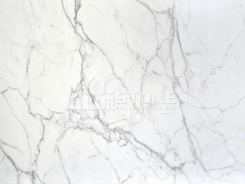 CS1376 VENATO WHITE