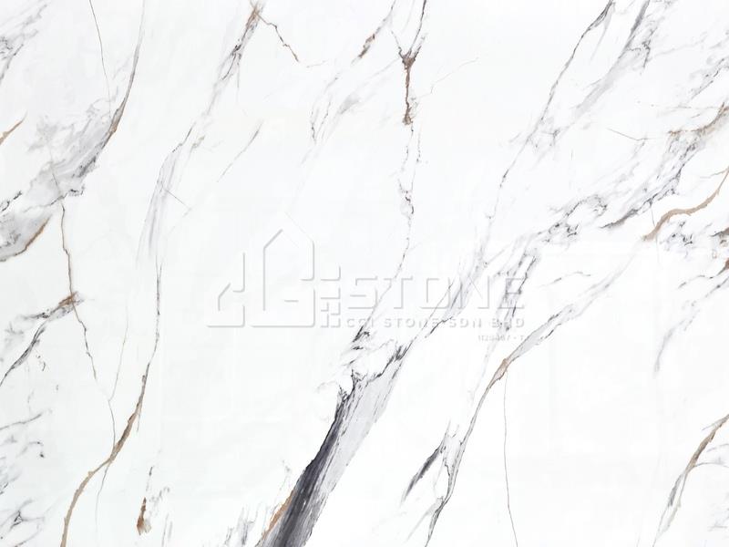 CS1016B FISH MAW